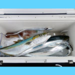 9/20釣果情報🎣