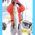 11/13釣果情報🎣