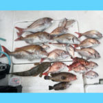 2/16釣果情報🎣