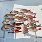 5/7スタッフ釣行🎣