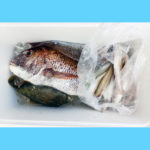 6/6釣果情報🎣
