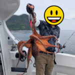 6/17釣果情報🎣