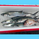 10/19スタッフ釣行🎣