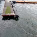 台風30号接近に伴う事前対策と臨時対応に関するお知らせ